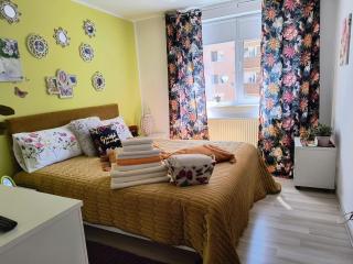 Sweet Butterflies Residence - Brasov - 7