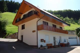 Holderstanzenhof - Bad Peterstal-Griesbach - 8