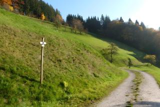 Holderstanzenhof - Bad Peterstal-Griesbach - 2