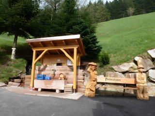 Holderstanzenhof - Bad Peterstal-Griesbach - 3