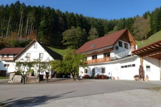 Holderstanzenhof - Bad Peterstal-Griesbach - 9