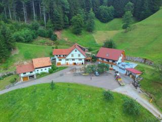 Holderstanzenhof - Bad Peterstal-Griesbach - 7