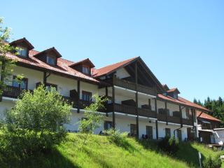 Apartman Šumava - Bavorský les - Mitterfirmiansreut - 7