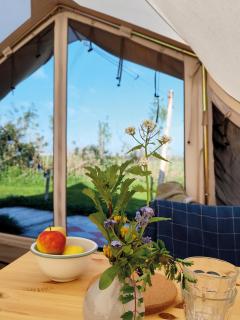Voedselbos Camping Koperwiek - Hazerswoude-Dorp - 9