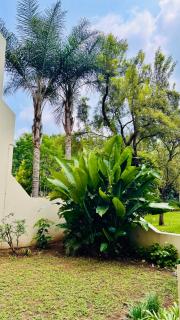 Room, in a shared Haven in the Heart of Sandton - Joanesburgo - 4