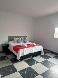 B6 Hotel - San Fulgencio - 4