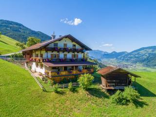 Wieshof - Kaltenbach - 0