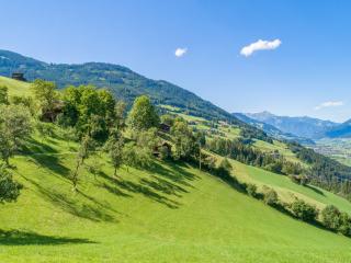 Wieshof - Kaltenbach - 3