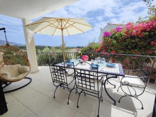 AP419 - Villa Chumbera - Nerja - 0