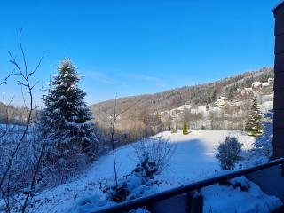 Schwarzwald Pur - Sasbachwalden - 7