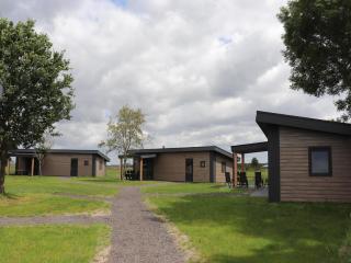 Spacious chalet in a rural location near Giethoorn - Blesdijke - 9