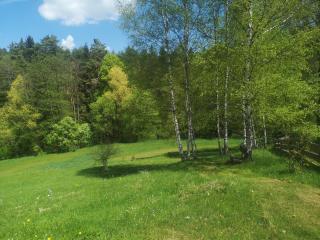 Maringotka k pronájmu - 8