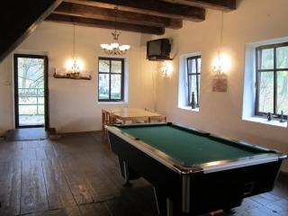 Mansion in Starkov with shared pool - Stárkov - 8