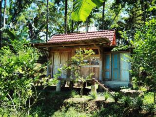 Ijen Lemon House - Jambu - 7
