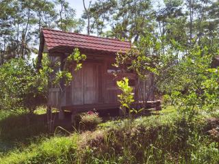 Ijen Lemon House - Jambu - 5