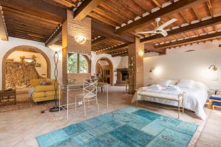 Arancera di Villa Edoardo by VacaVilla - Vicopisano - 1