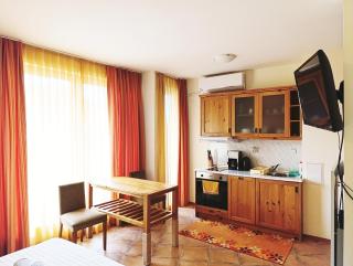 Studio in Murphys Lodge - Bansko - 8