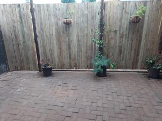 Tevrede Guest Cottage - Bloemfontein - 5