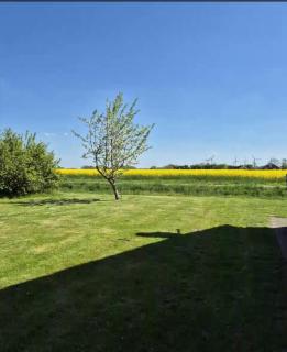 Ferienwohnung Muschel 1 mit Terrasse und Garten, Bensersiel - Holtgast - 9