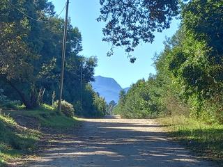 Villa Agape - Coldstream - 2