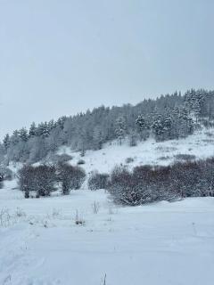 Romantic forest Getaway - Meghradzor - 1