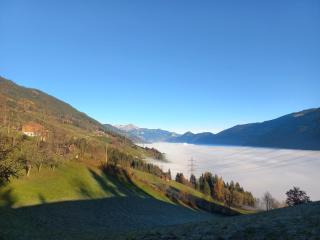 Wieshof - Kaltenbach - 1