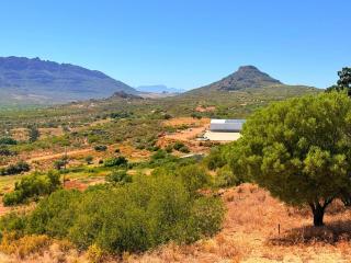 Grootfontein, Graafwater - Vosburg - 5