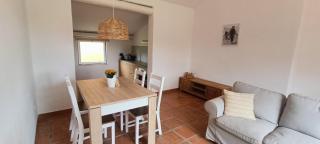 Casas da Barra - Praia de Mira - 7
