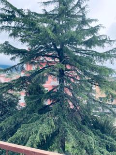 La casa di Debora - Lavagna - 2