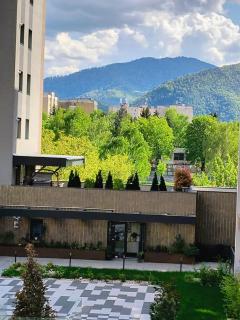 Sweet Butterflies Residence - Brasov - 9