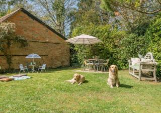 Landfords Cottage - Landford - 9
