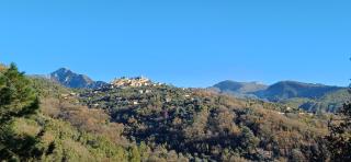 Le Domaine de la Feuilleraie - 2