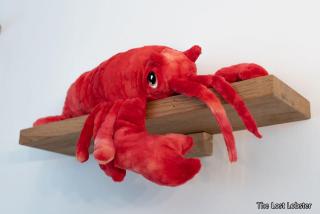 The Lost Lobster - North Berwick - 3