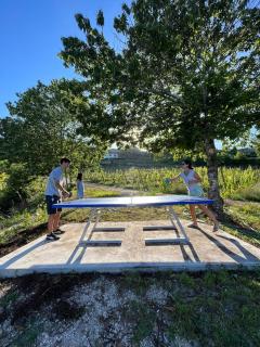 Villa Seara - Casas da Vinha - 5