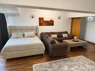 Cozy Unirii Apartment near Old Town - Bucharest - 8