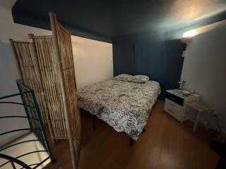 Duplex spagiari - Nice - 9