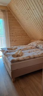 Willa U Eskulapa - Lutowiska - 3