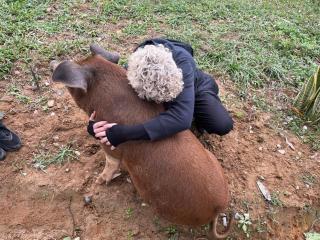 The Farm - Nguyen Shack - 0