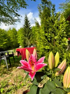 Guest house Hyrmet Demushi - 2