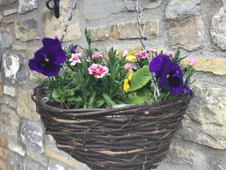 Poplar Farm - Wedmore - 5