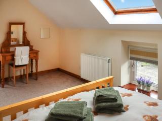 Teifi Cottage - Uk49590 - Llansawel - 2