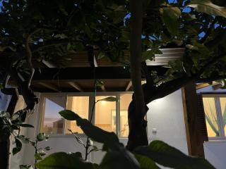 Casa indipendente - Tonnara di Bonagia - 8