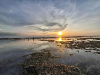 MASYA Cottages - Gili Trawangan - 6