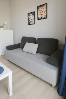 Urban Jungle - Silver Apartment - Białystok - 8