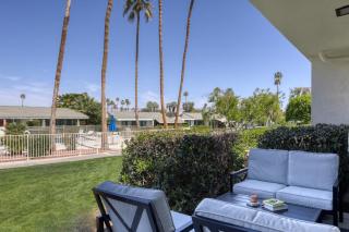 Sonora Oasis - 4