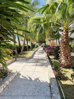 Villa Breeze, Cupecoy Beach Club - Cupecoy - 4