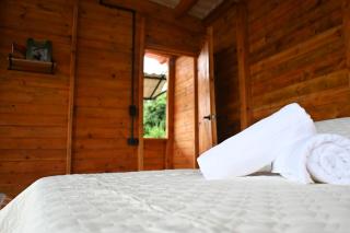 Cabaña con vistas a la montaña - 1