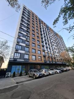 A mountain view studio flat - 4