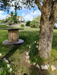 Gîte CANTO AZUL - Casal da Carreira - 3