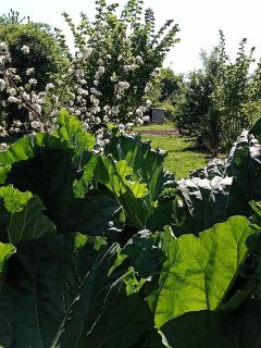 Le jardin d'Orion - Verdun-sur-Meuse - 2